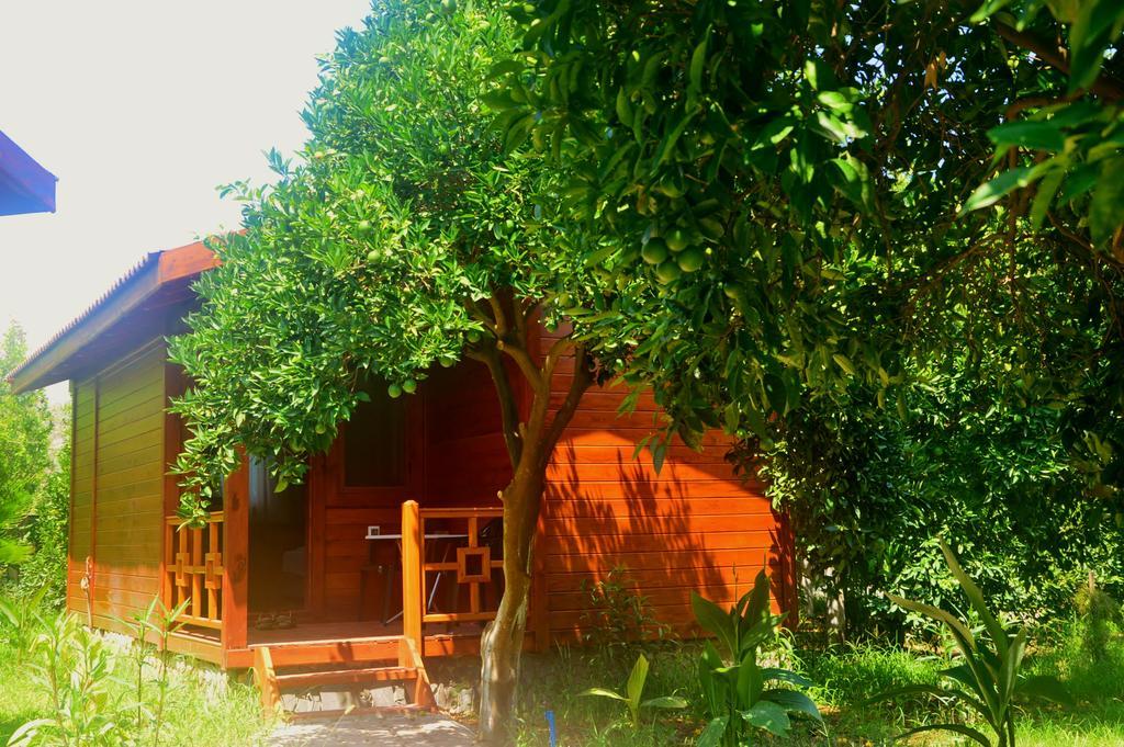 Safir Pansiyon Çıralı Exteriör bild