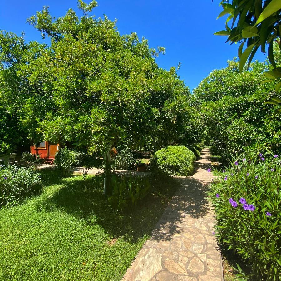 Safir Pansiyon Çıralı Exteriör bild